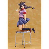 Figure - Bakemonogatari / Hanekawa Tsubasa