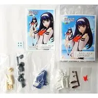 Resin Cast Assembly Kit - Figure - Vividred Operation / Futaba Aoi