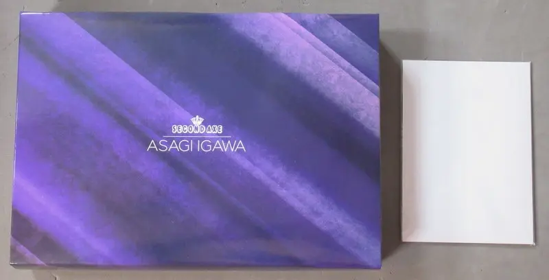 Figure - Taimanin Asagi / Igawa Asagi