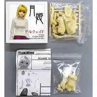 Resin Cast Assembly Kit - Figure - Tsukihime / Arcueid Brunestud