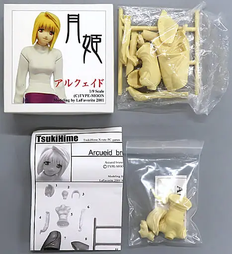Resin Cast Assembly Kit - Figure - Tsukihime / Arcueid Brunestud