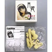 Resin Cast Assembly Kit - Figure - Tsukihime / Toono Akiha