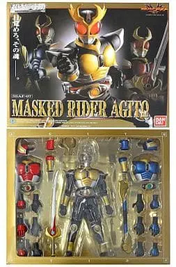 Figure - Kamen Rider Series