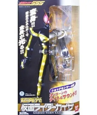 Figure - Kamen Rider 555