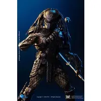 Figure - Alien vs. Predator