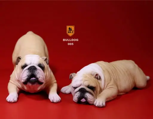 Bulldog Playful ver. (Milky White/2-piece set) Resin