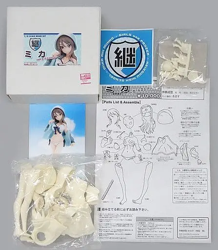 Resin Cast Assembly Kit - Figure - Girls und Panzer / Mika