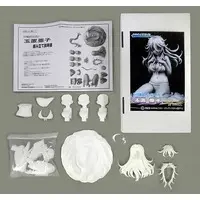 Resin Cast Assembly Kit - Figure - And you thought there is never a girl online?