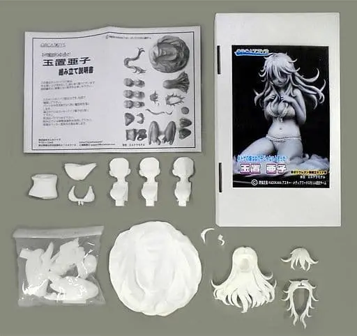 Resin Cast Assembly Kit - Figure - And you thought there is never a girl online?