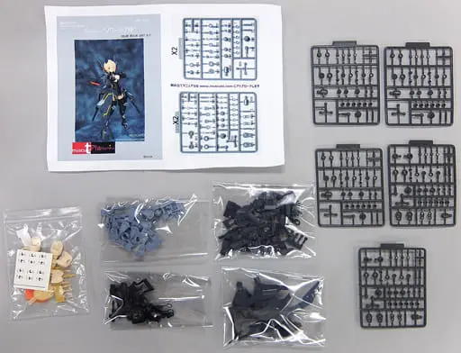 Resin Cast Assembly Kit - Figure - Phantasy Star