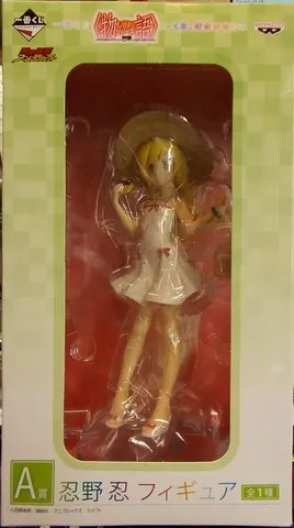 Ichiban Kuji - Monogatari series / Oshino Shinobu