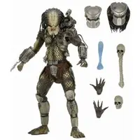 Figure - Predator