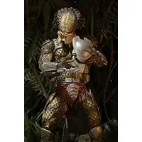 Figure - Predator