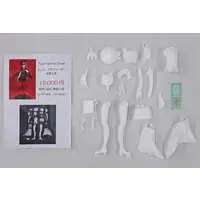 Garage Kit - Figure - Fate/Grand Order / Helena Blavatsky