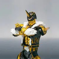 S.H.Figuarts - Kamen Rider Den-O