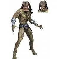 Figure - Predator