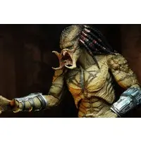 Figure - Predator