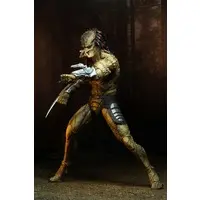 Figure - Predator