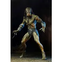 Figure - Predator