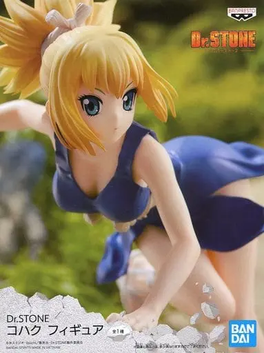 Figure - Prize Figure - Dr. Stone