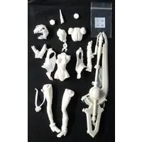 Resin Cast Assembly Kit - Garage Kit - Figure - Fate/Grand Order