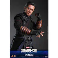 Movie Masterpiece - Shang-Chi and the Legend of the Ten Rings