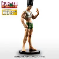 Figure - Hunter x Hunter / Gon Freecss