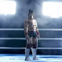 Figure - New Japan Pro-Wrestling