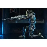 Figure - Predator