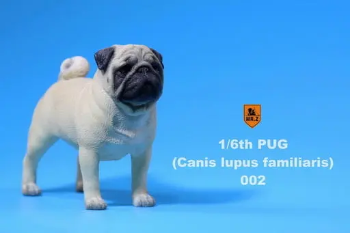 Pug B(Beige)