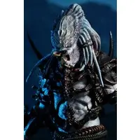 Figure - Predator