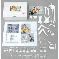 Garage Kit - Figure - Fate/Grand Order / Frankenstein (Fate series)
