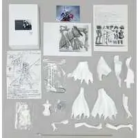 Garage Kit - Figure - Fate/Grand Order / Jeanne d'Arc (Alter)
