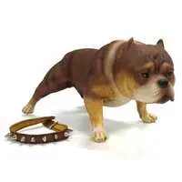 American Bully F Resin