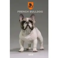 French Bulldog (Amber)