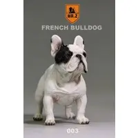 French Bulldog (Black & White)