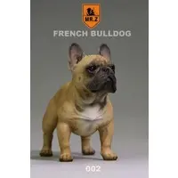 French Bulldog (Brown)