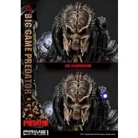 Figure - Predator