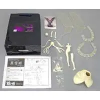 Resin Cast Assembly Kit - Figure - Accel World / Kuroyukihime