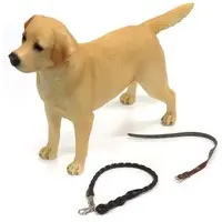 Labrador Retriever 002