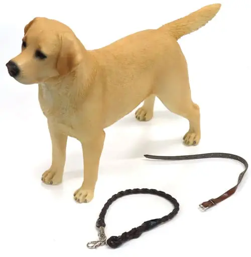 Labrador Retriever 002