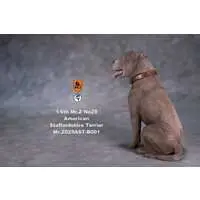 American Staffordshire Terrier Statue Sitting B 001