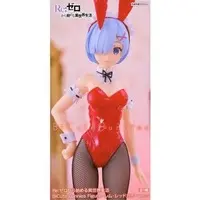 BiCute Bunnies - Re:Zero / Rem