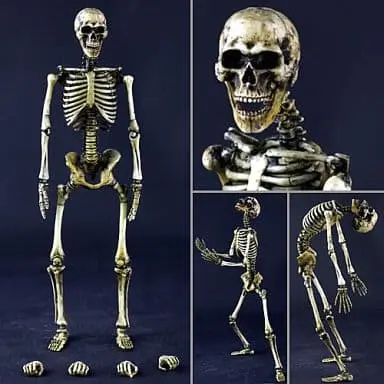 Skeleton Body (Dirty Effect)