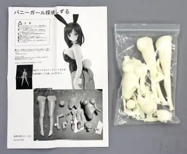 Bunny Girl Detective Shizuru Garage Kit