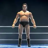 Figure - Andre the Giant