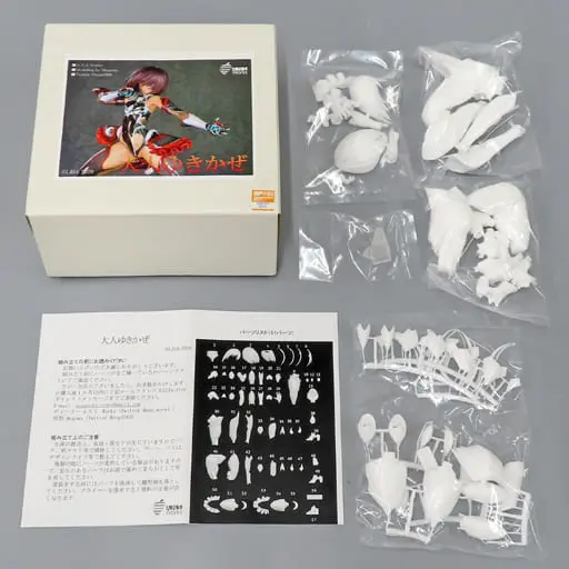 Garage Kit - Figure - Taimanin series