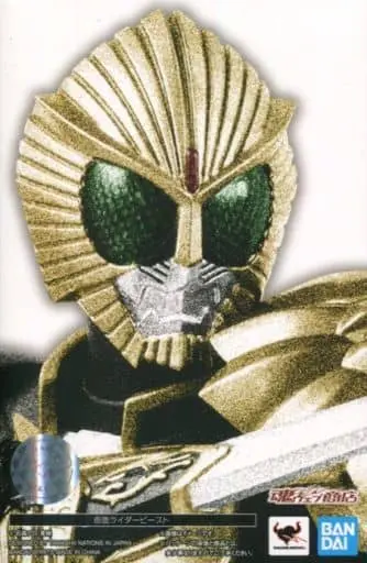 S.H.Figuarts - Kamen Rider Wizard