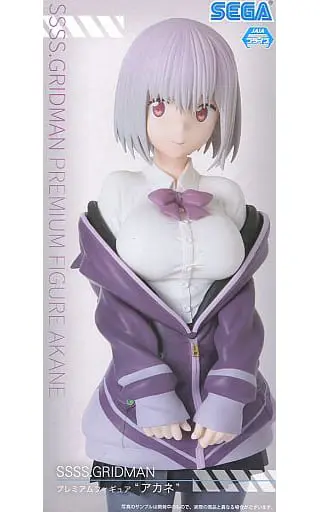 Figure - Prize Figure - SSSS.Gridman / Shinjou Akane