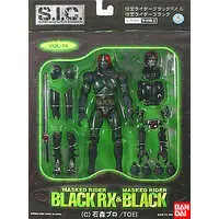 Figure - Kamen Rider Series